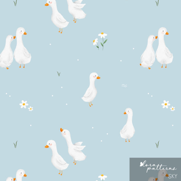 [Exclusive] Lovely Geese