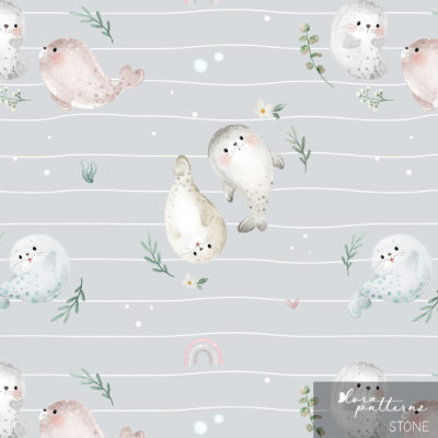 [Exclusive] Cute Baby Seals