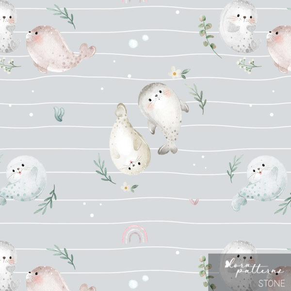 [Exclusive] Cute Baby Seals
