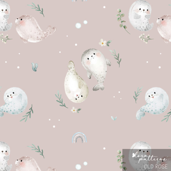 [Exclusive] Cute Baby Seals - Image 4