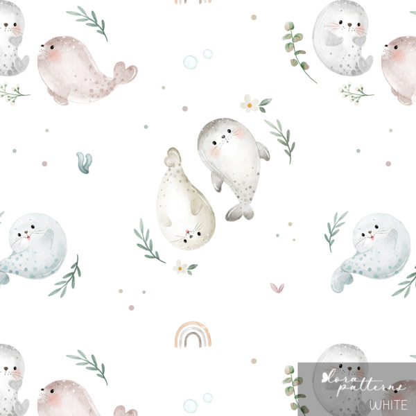 [Exclusive] Cute Baby Seals - Image 2