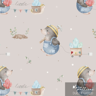 [Exclusive] Little Miner