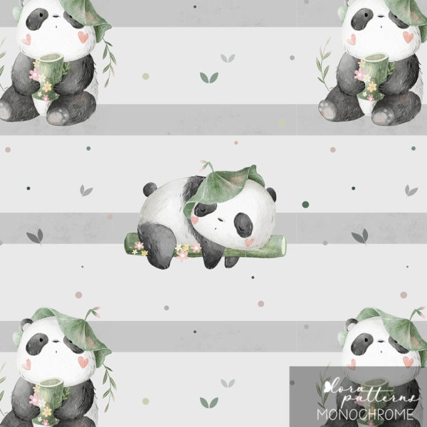 [Exclusive] Little Panda and Bamboo - Image 11