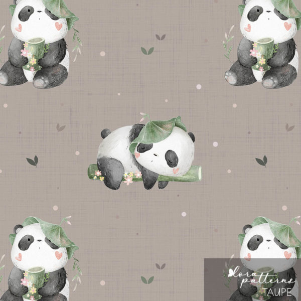 [Exclusive] Little Panda and Bamboo - Image 7