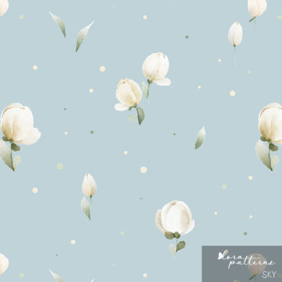 [Exclusive] Petit Tulips