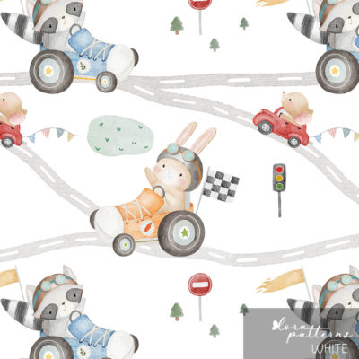 [Exclusive] Littler Racers