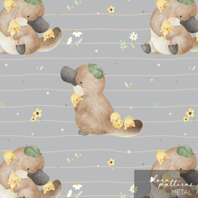 [Exclusive] Platypus and Little Ducklings