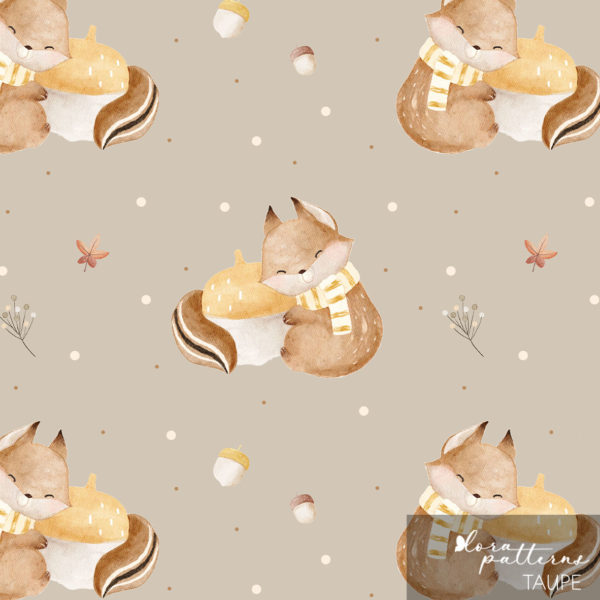 [Exclusive] Squirrel Hugging An Acorn - Image 4