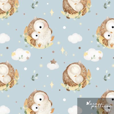 [Exclusive] Owl and Moon