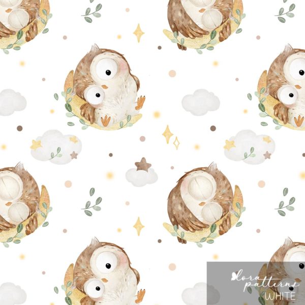 [Exclusive] Owl and Moon - Image 2
