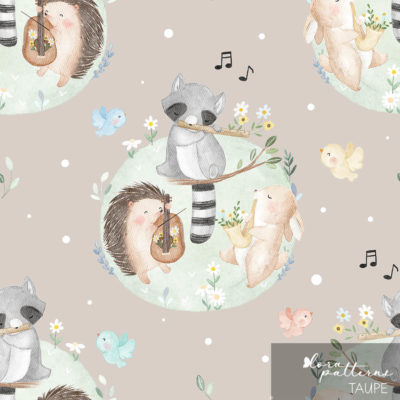 [Exclusive] Spring Melody