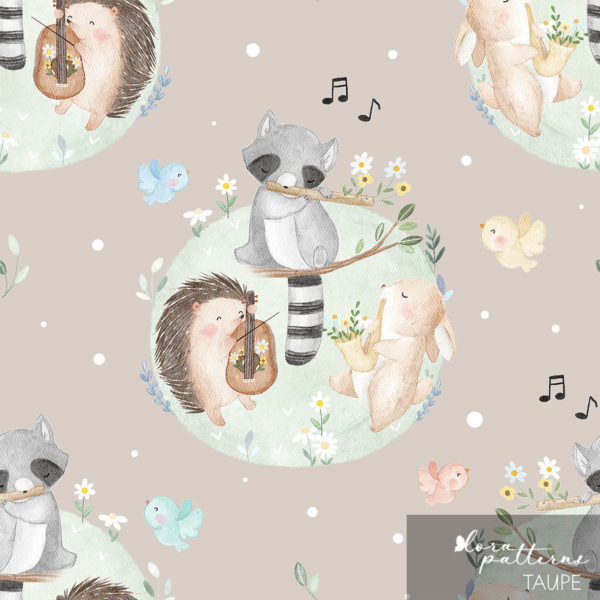 [Exclusive] Spring Melody