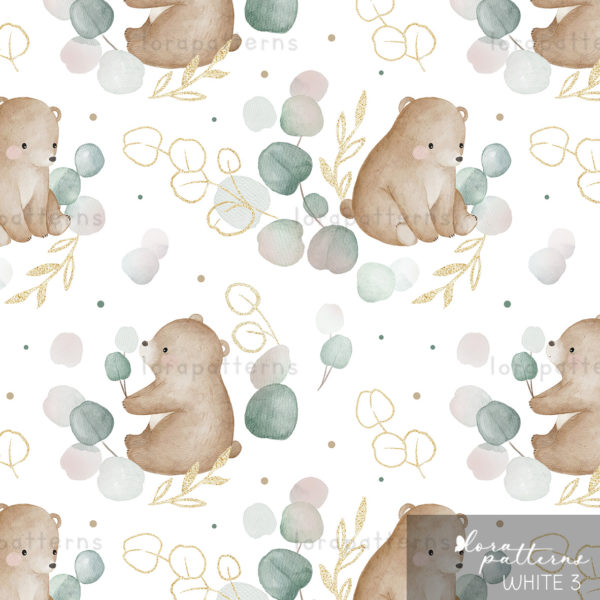 [Exclusive] Bear and Eucallyptus - Image 4
