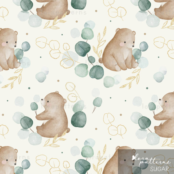 [Exclusive] Bear and Eucallyptus - Image 11