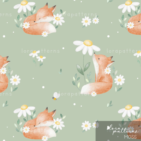 [Exclusive] Fox and Daisy