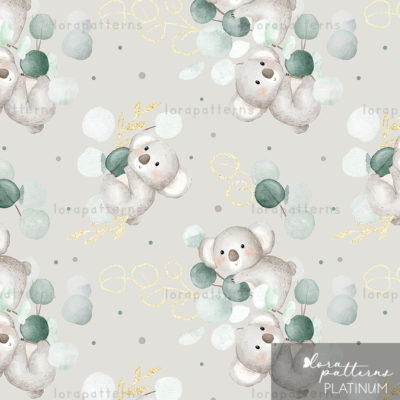 [Exclusive] Koala and Eucalyptus