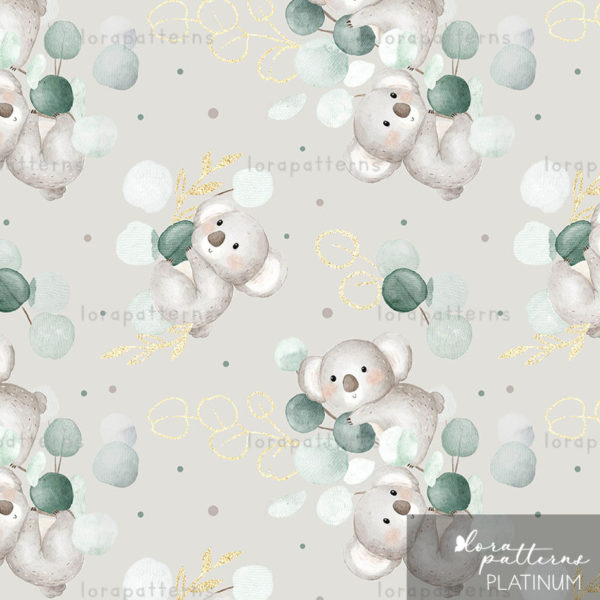 [Exclusive] Koala and Eucalyptus