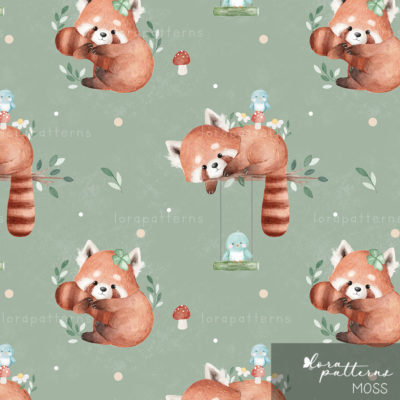 [Exclusive] Sweet Red Panda