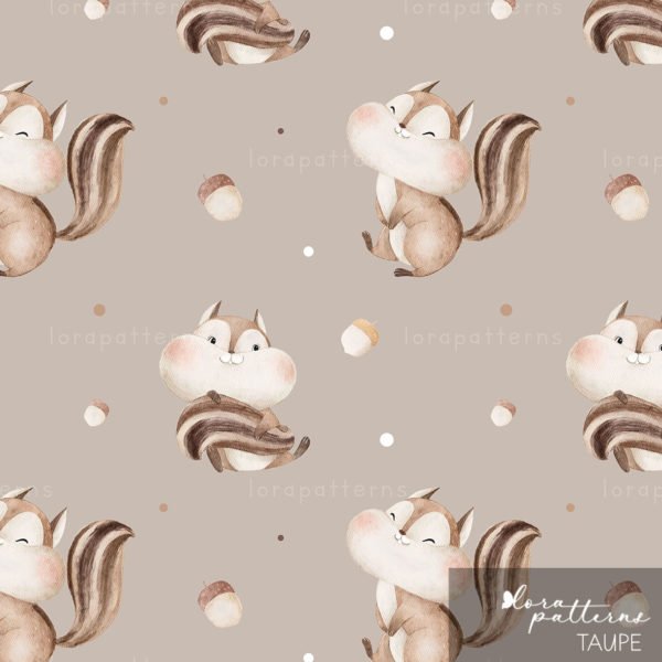 [Exclusive] Chubby Squirrel