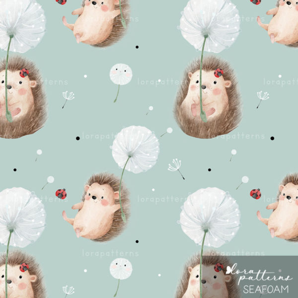[Exclusive] Hedgehog and Dandelion - Image 7