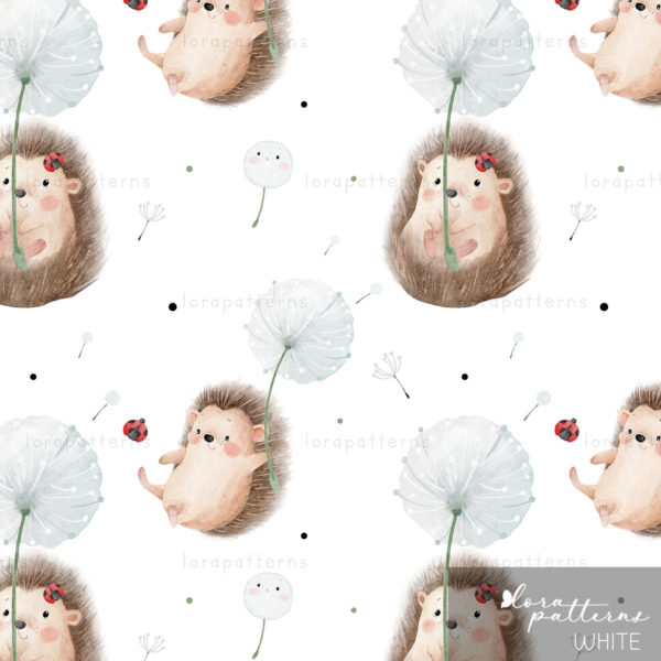 [Exclusive] Hedgehog and Dandelion - Image 2