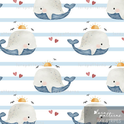 [Exclusive] Little Whale and Sun