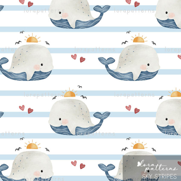 [Exclusive] Little Whale and Sun