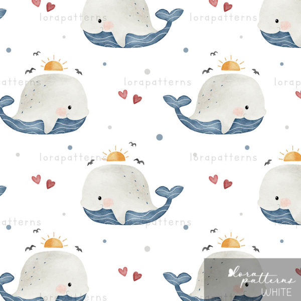 [Exclusive] Little Whale and Sun - Image 2