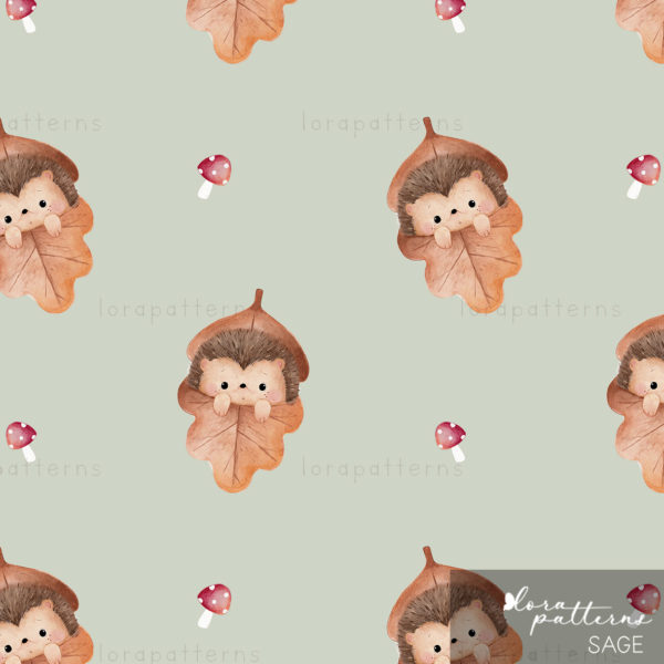 [Exclusive] Cozy Hedgehog