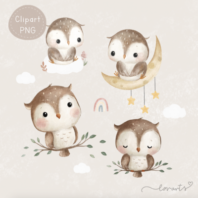 [Clipart PNG] Lovely Owls