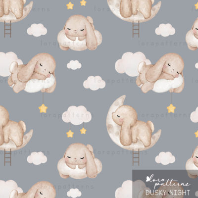 [Exclusive] Bunny Sleeping on Fluffy Clouds