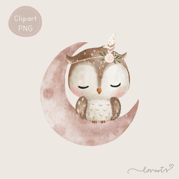 [Clipart PNG] Owl Neighborhood - Image 5
