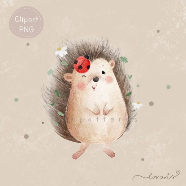 [Clipart PNG] Hedgehog and Ladybug - Image 3
