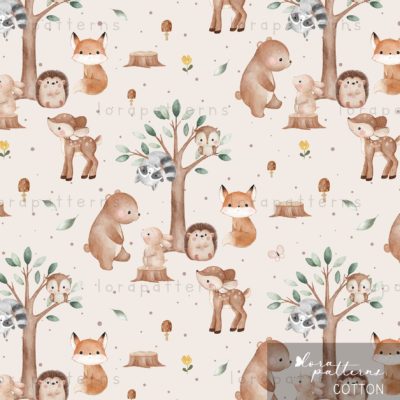 [Exclusive] My Little Forest