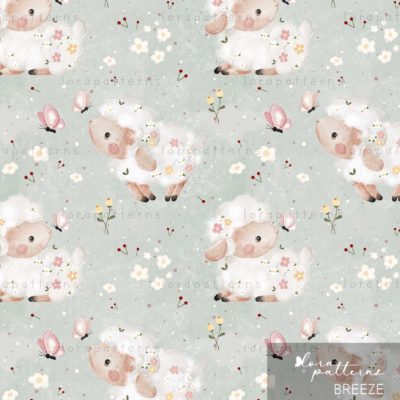 [Exclusive] Pretty Sheep