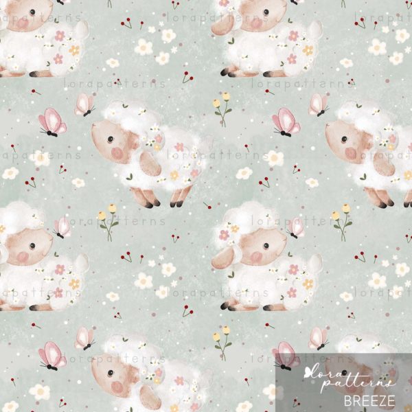 [Exclusive] Pretty Sheep