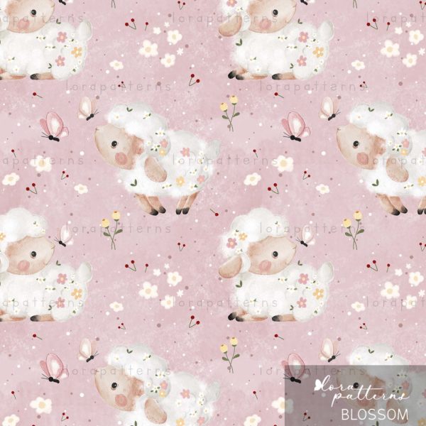 [Exclusive] Pretty Sheep - Image 6