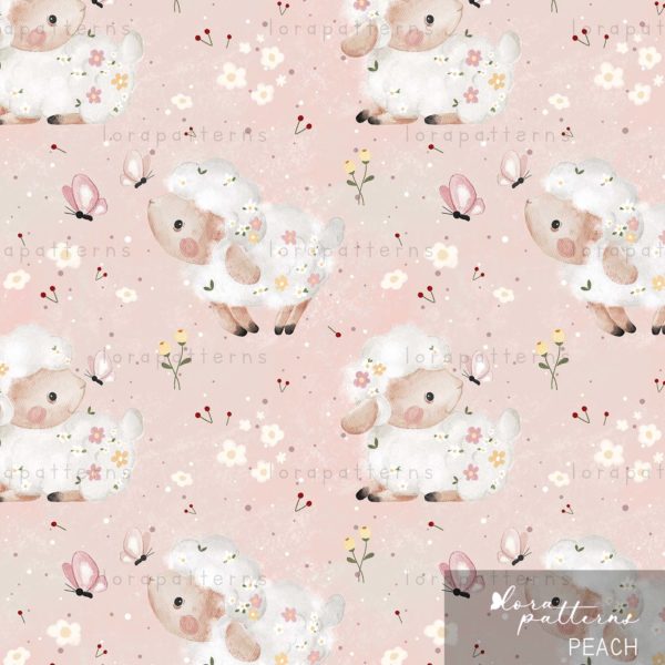 [Exclusive] Pretty Sheep - Image 4
