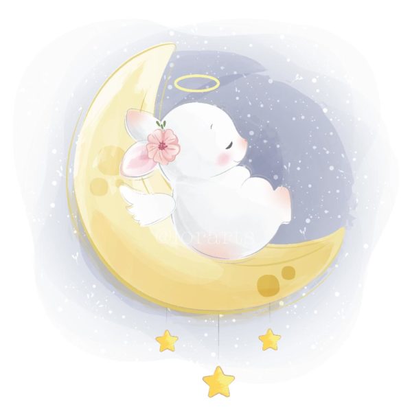 Baby Bunny Sleeping on Moon