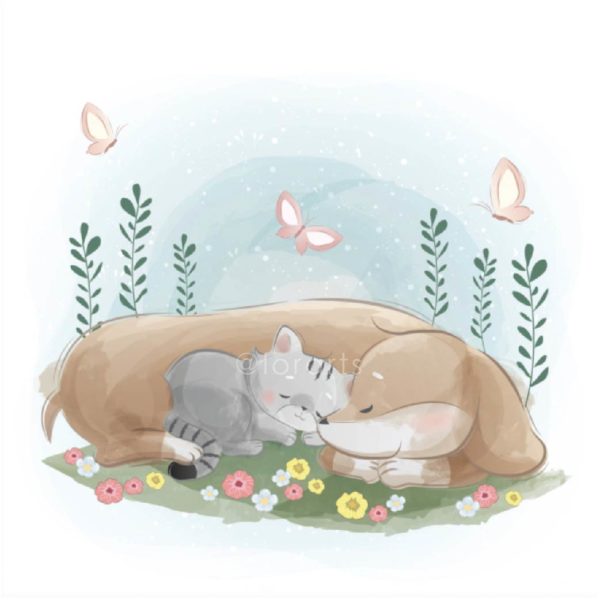 Cute Doggy Sleeping with Little Kitty