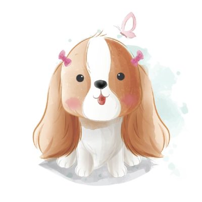 Cute Cavalier Puppies in Brown Color 3
