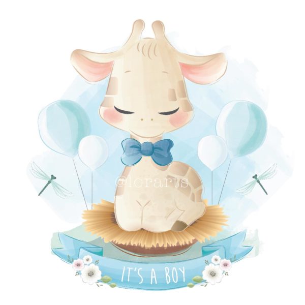 Baby Giraffe Newborn for Boy