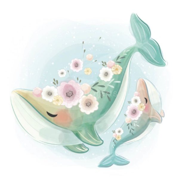 Beautiful Whale Dancing With The Baby
