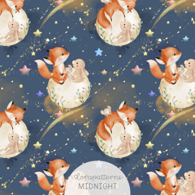 [Exclusive] Starry Sky