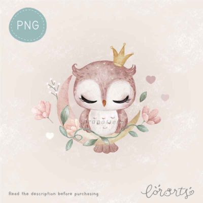 [Clipart PNG] Pretty Owl