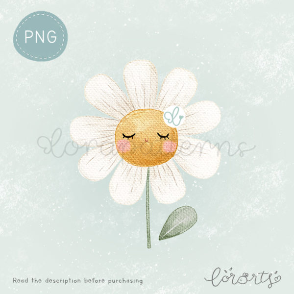[Clipart PNG] Cute Daisies - Image 4