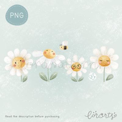[Clipart PNG] Cute Daisies