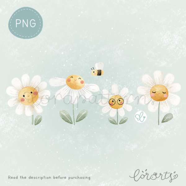 [Clipart PNG] Cute Daisies
