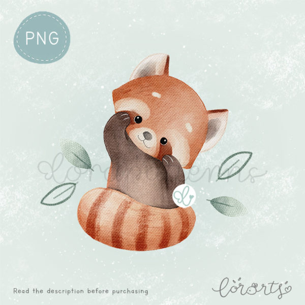 [Clipart PNG] Cute Red Panda - Image 3