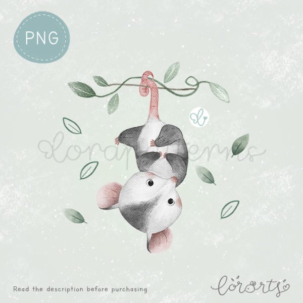 [Clipart PNG] Cute Little Possums - Image 2